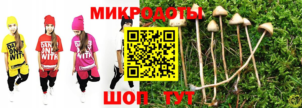 Псилоцибиновые грибы Magic Shrooms  Вход с VPN  продажа наркотиков  Краснознаменск 