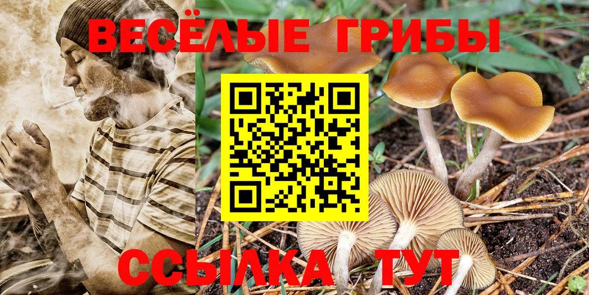 Галлюциногенные грибы GOLDEN TEACHER Краснознаменск
